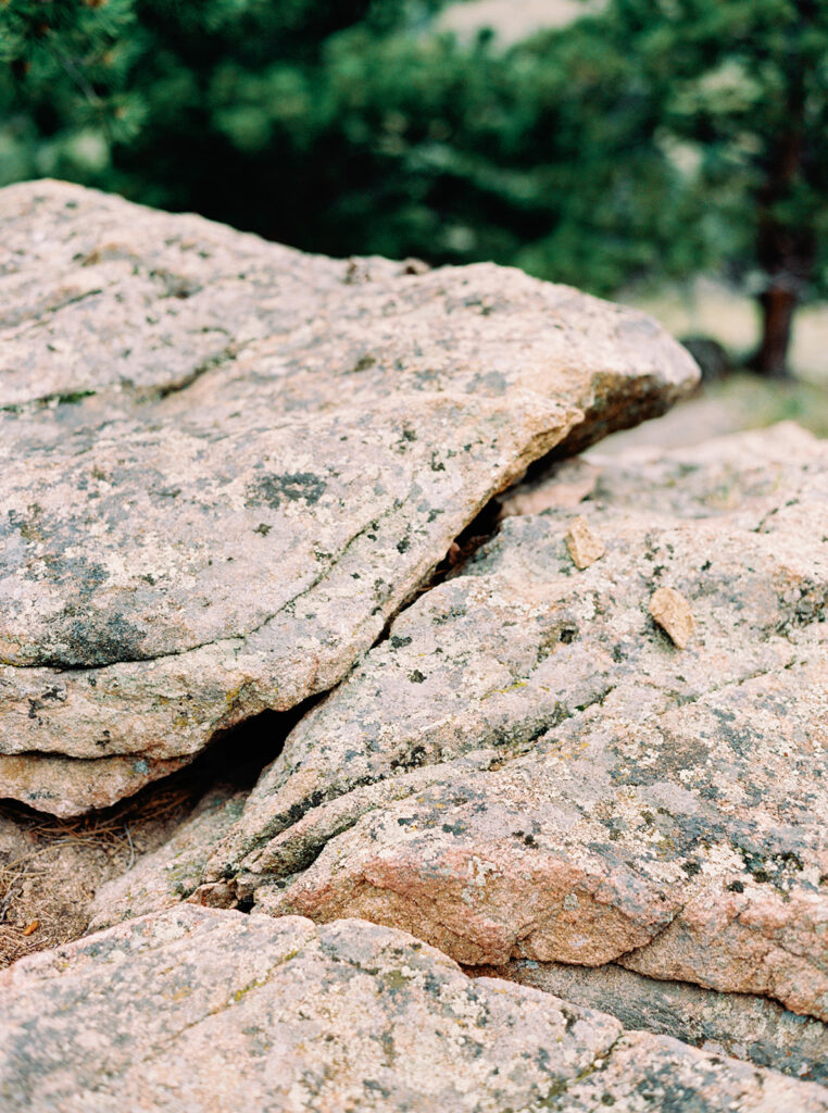 Rocky Mountain National Park Engagement Session Cheryl Cole Photography