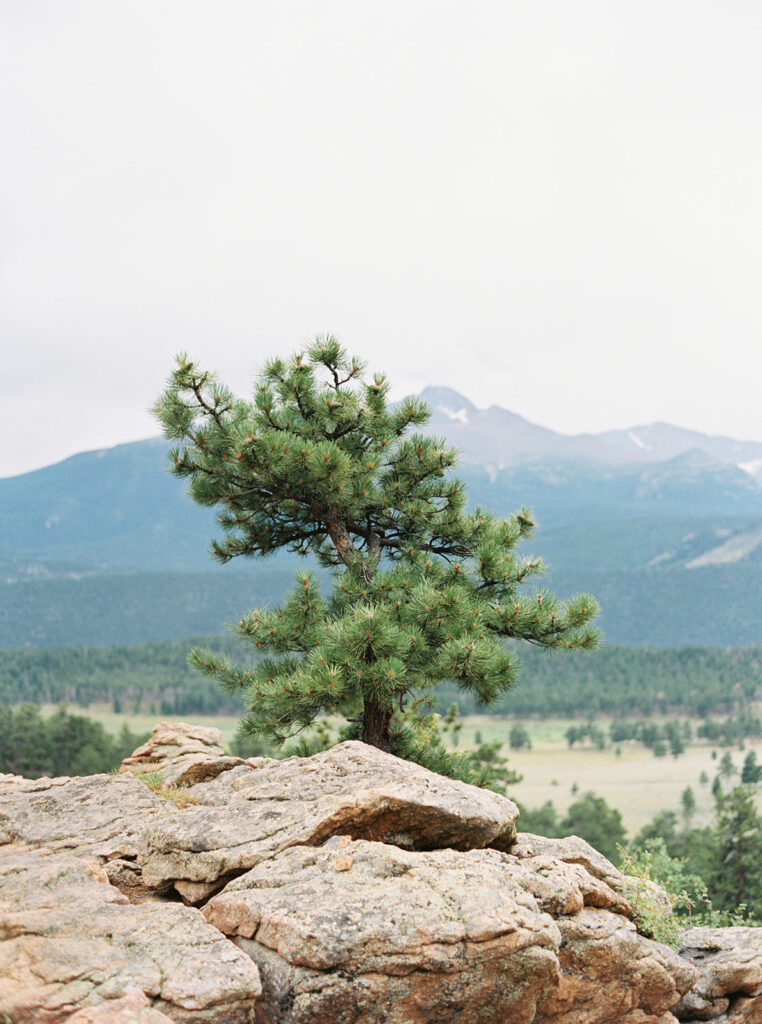 Rocky Mountain National Park Engagement Session Cheryl Cole Photography